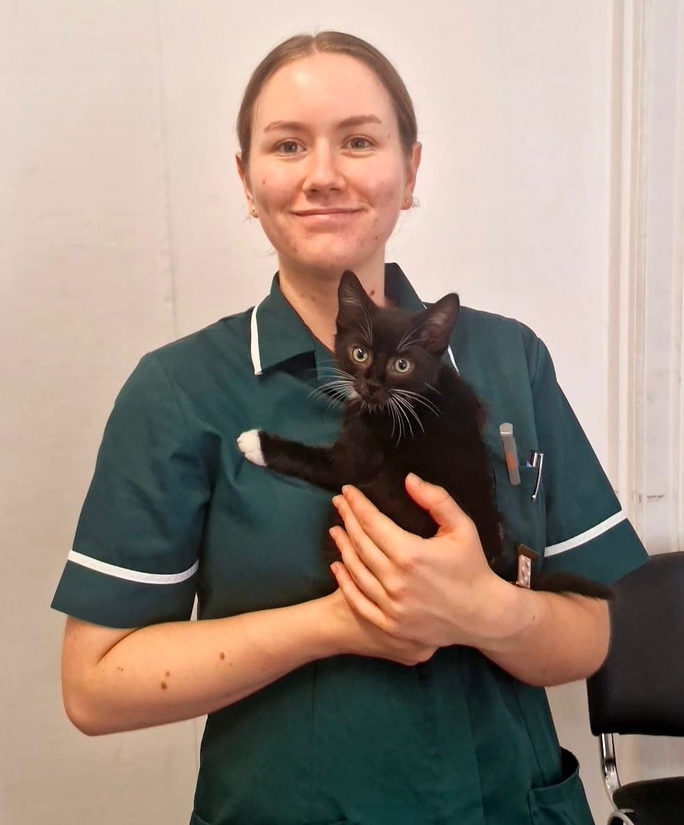 How does pet insurance work?